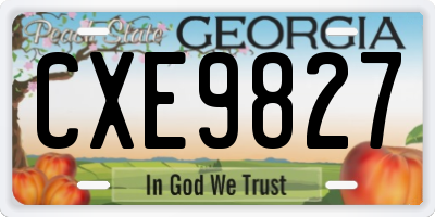 GA license plate CXE9827