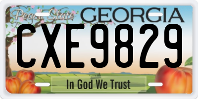 GA license plate CXE9829