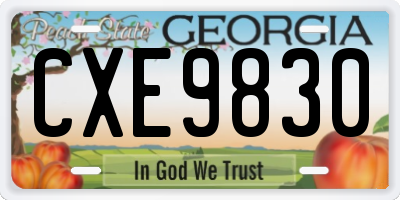 GA license plate CXE9830