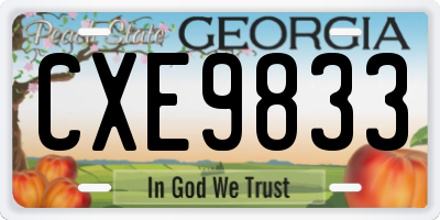GA license plate CXE9833