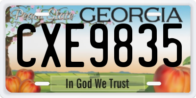 GA license plate CXE9835
