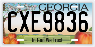 GA license plate CXE9836
