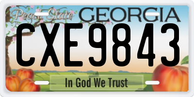 GA license plate CXE9843