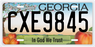 GA license plate CXE9845