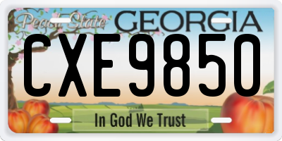 GA license plate CXE9850