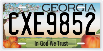 GA license plate CXE9852