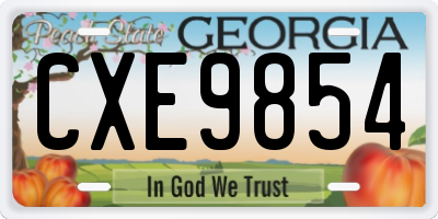 GA license plate CXE9854