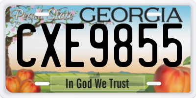GA license plate CXE9855