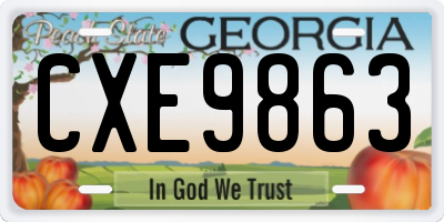 GA license plate CXE9863