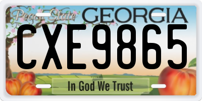 GA license plate CXE9865