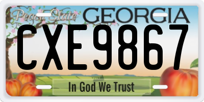 GA license plate CXE9867