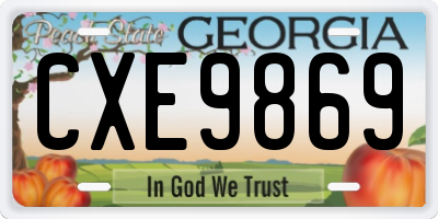 GA license plate CXE9869