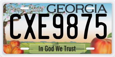 GA license plate CXE9875