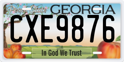 GA license plate CXE9876