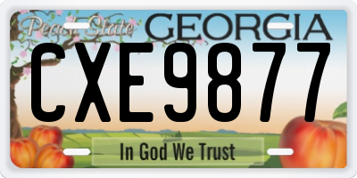 GA license plate CXE9877