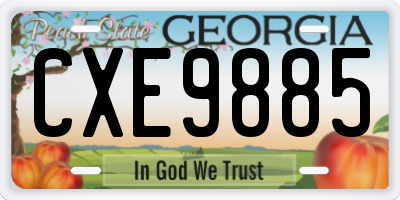 GA license plate CXE9885
