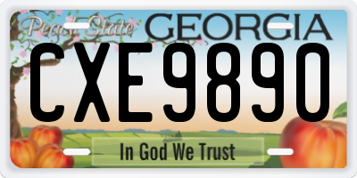 GA license plate CXE9890