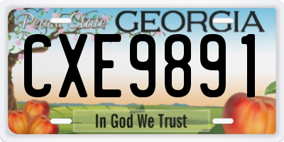 GA license plate CXE9891