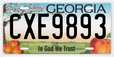 GA license plate CXE9893