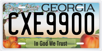 GA license plate CXE9900