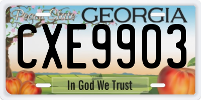 GA license plate CXE9903