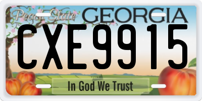 GA license plate CXE9915