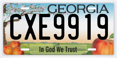 GA license plate CXE9919