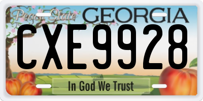 GA license plate CXE9928