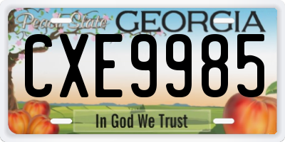 GA license plate CXE9985