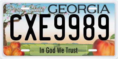 GA license plate CXE9989