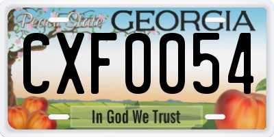 GA license plate CXF0054