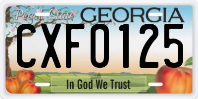 GA license plate CXF0125