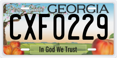 GA license plate CXF0229