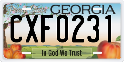 GA license plate CXF0231