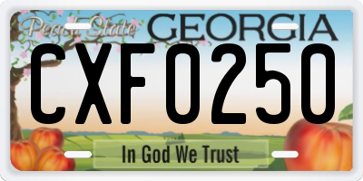 GA license plate CXF0250