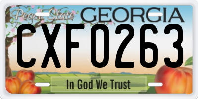 GA license plate CXF0263