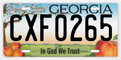 GA license plate CXF0265