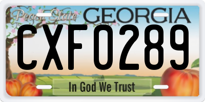 GA license plate CXF0289