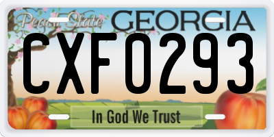 GA license plate CXF0293