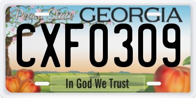 GA license plate CXF0309