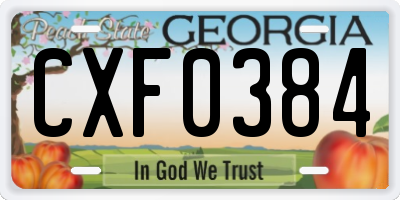 GA license plate CXF0384