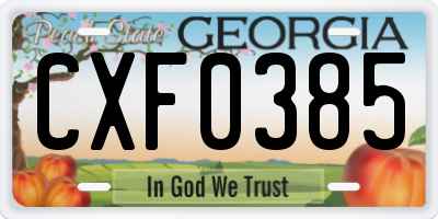 GA license plate CXF0385