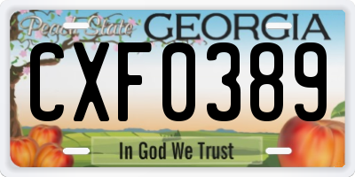 GA license plate CXF0389