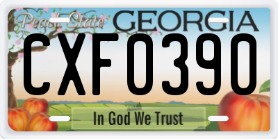 GA license plate CXF0390