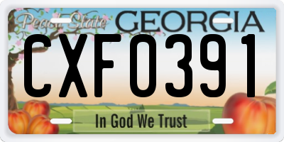 GA license plate CXF0391
