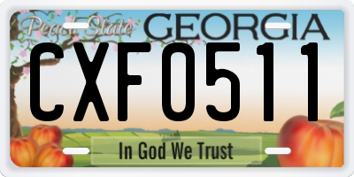 GA license plate CXF0511