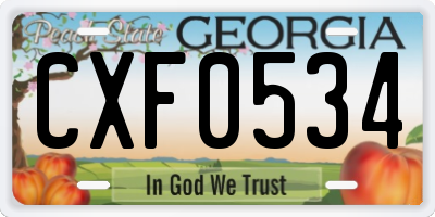 GA license plate CXF0534