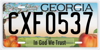 GA license plate CXF0537