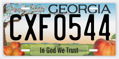 GA license plate CXF0544
