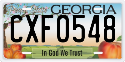 GA license plate CXF0548